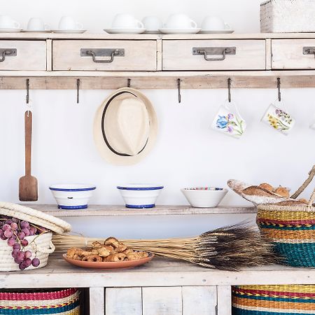 Anamar Mykonos Natural Retreat Ftelia  Eksteriør billede
