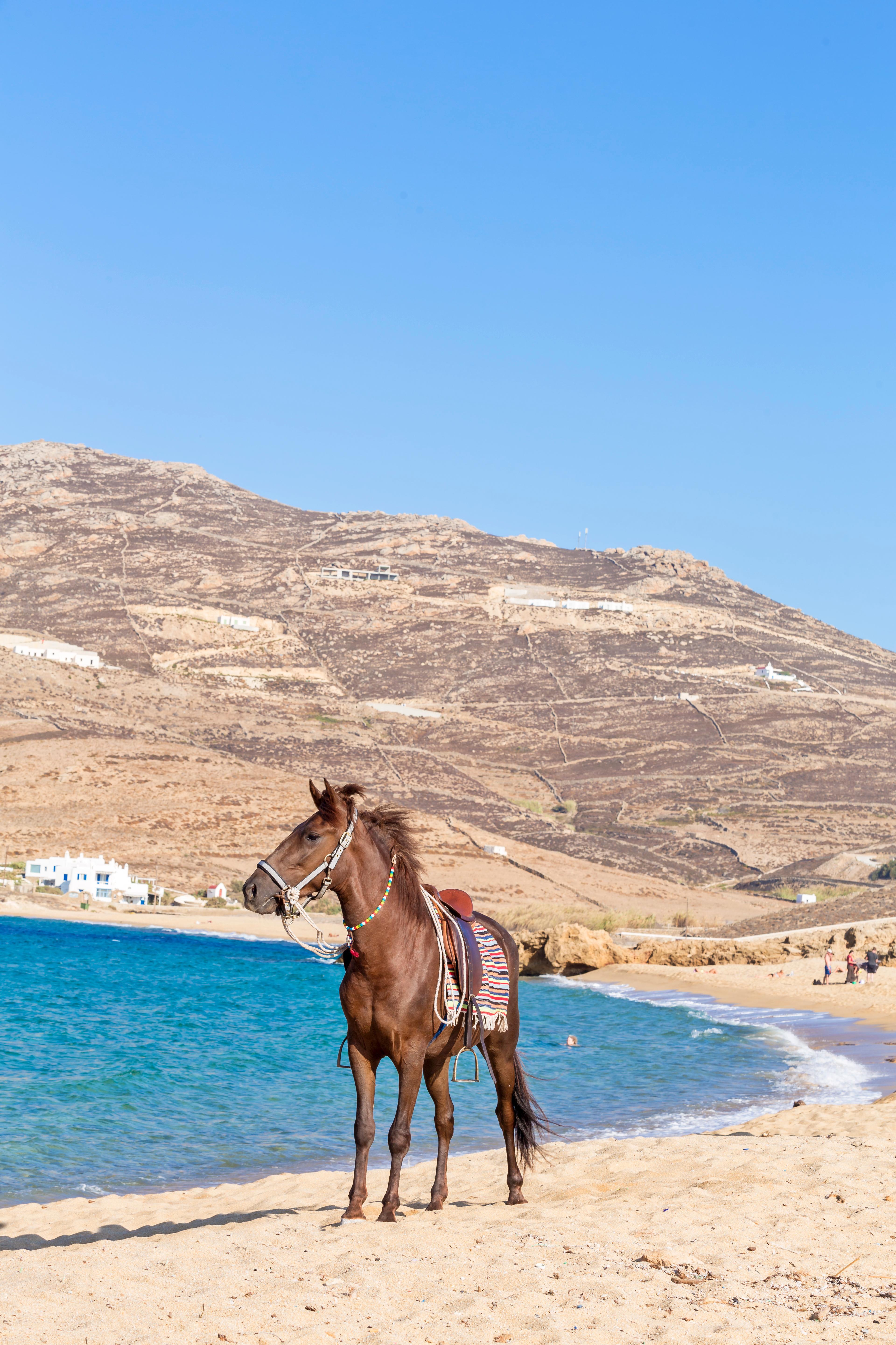 Anamar Mykonos Natural Retreat Ftelia  Eksteriør billede