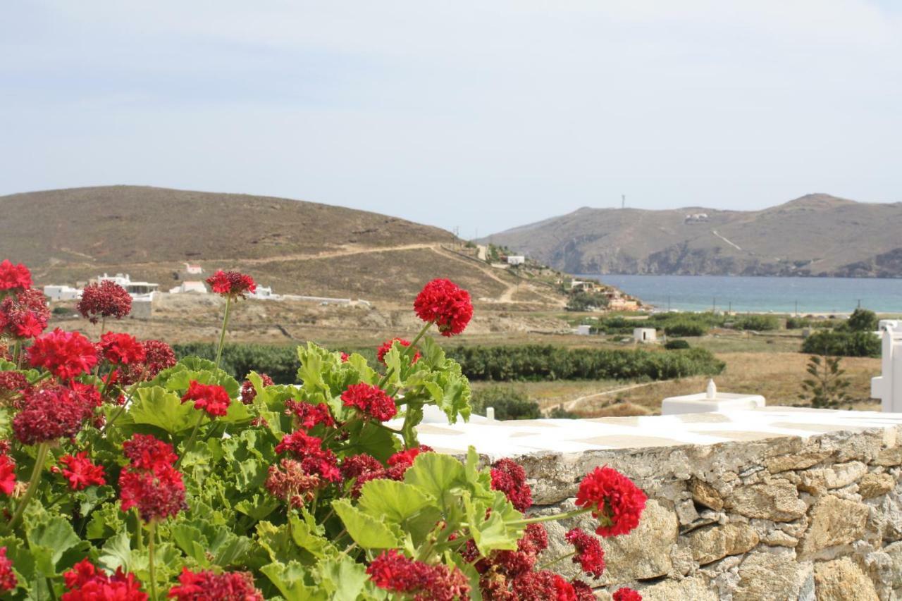 Anamar Mykonos Natural Retreat Ftelia  Eksteriør billede