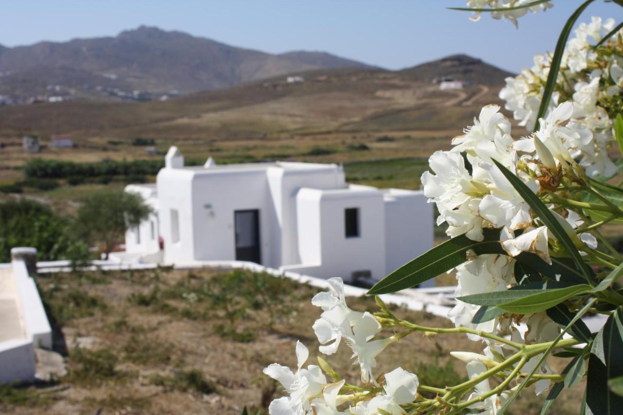 Anamar Mykonos Natural Retreat Ftelia  Eksteriør billede