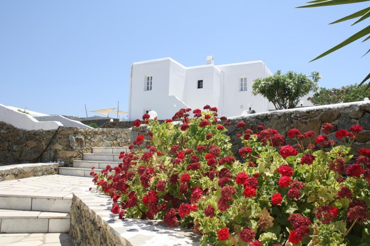Anamar Mykonos Natural Retreat Ftelia  Eksteriør billede